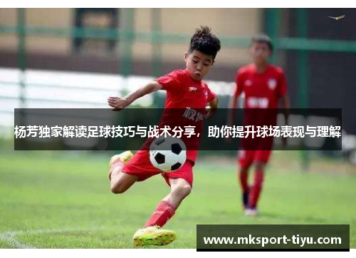 杨芳独家解读足球技巧与战术分享，助你提升球场表现与理解