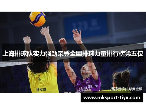 上海排球队实力强劲荣登全国排球力量排行榜第五位