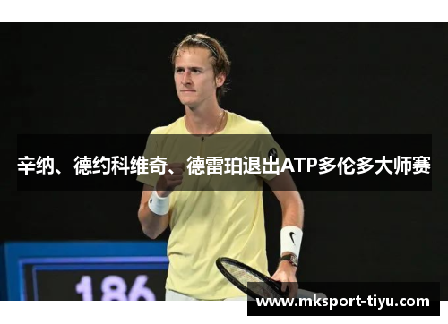 辛纳、德约科维奇、德雷珀退出ATP多伦多大师赛